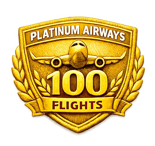 Pilot 100 flights